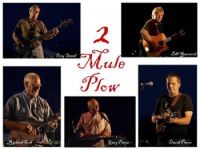 2 Mule Plow